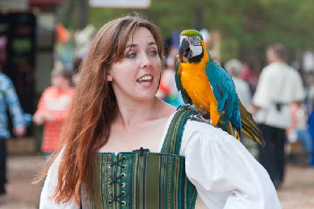 Ren-Fest Fun